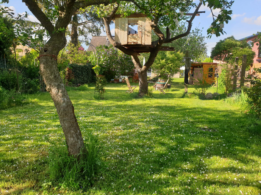 Gartenblick zum Haus