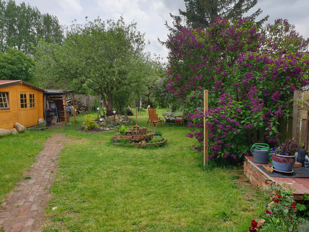Blick in den Garten