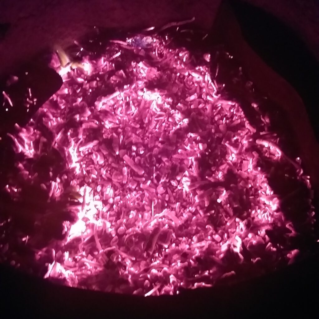 Blick in die Feuertonne