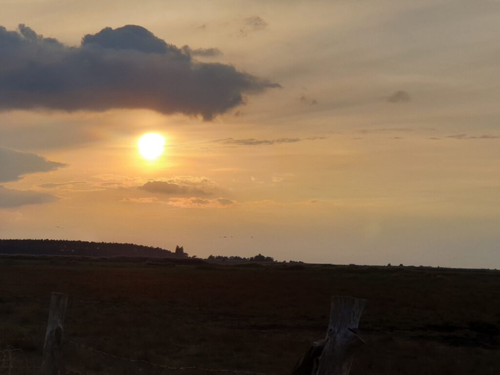 Halbinsel Struck am Abend