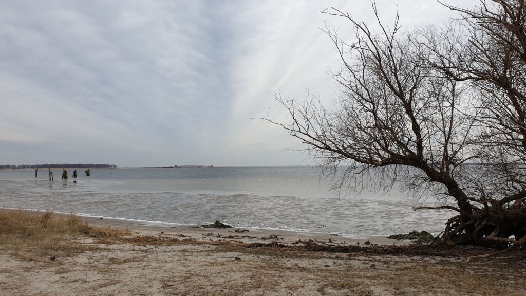 Naturstrand Spandowerhagen