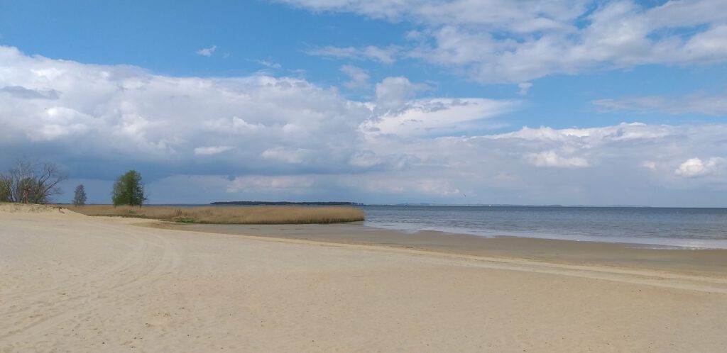 Strand in Freest