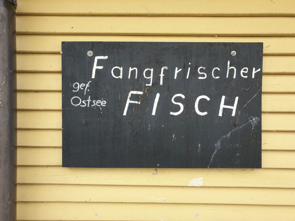Fisch frisch vom Kutter
