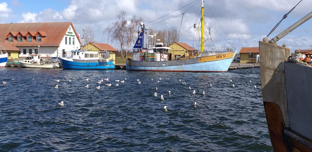 Kutter im Hafen Freest