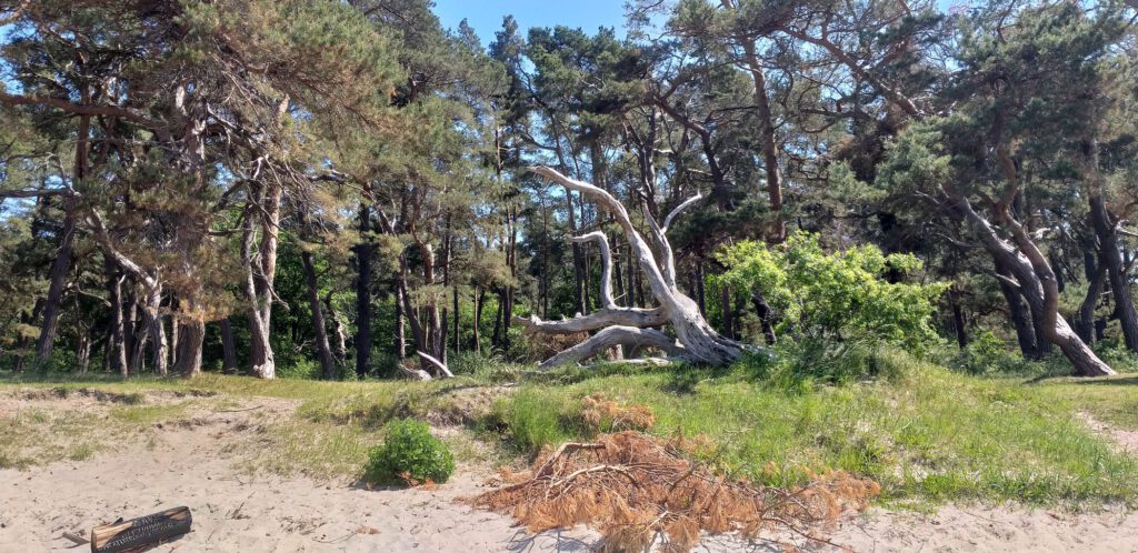 Naturstrand bei Ludwigsburg