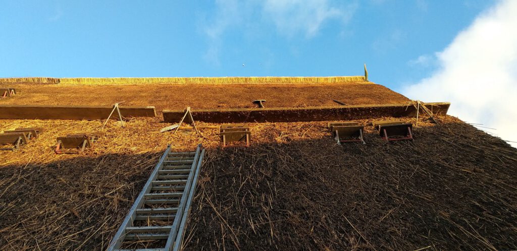 Rohrdachdecker am Werk