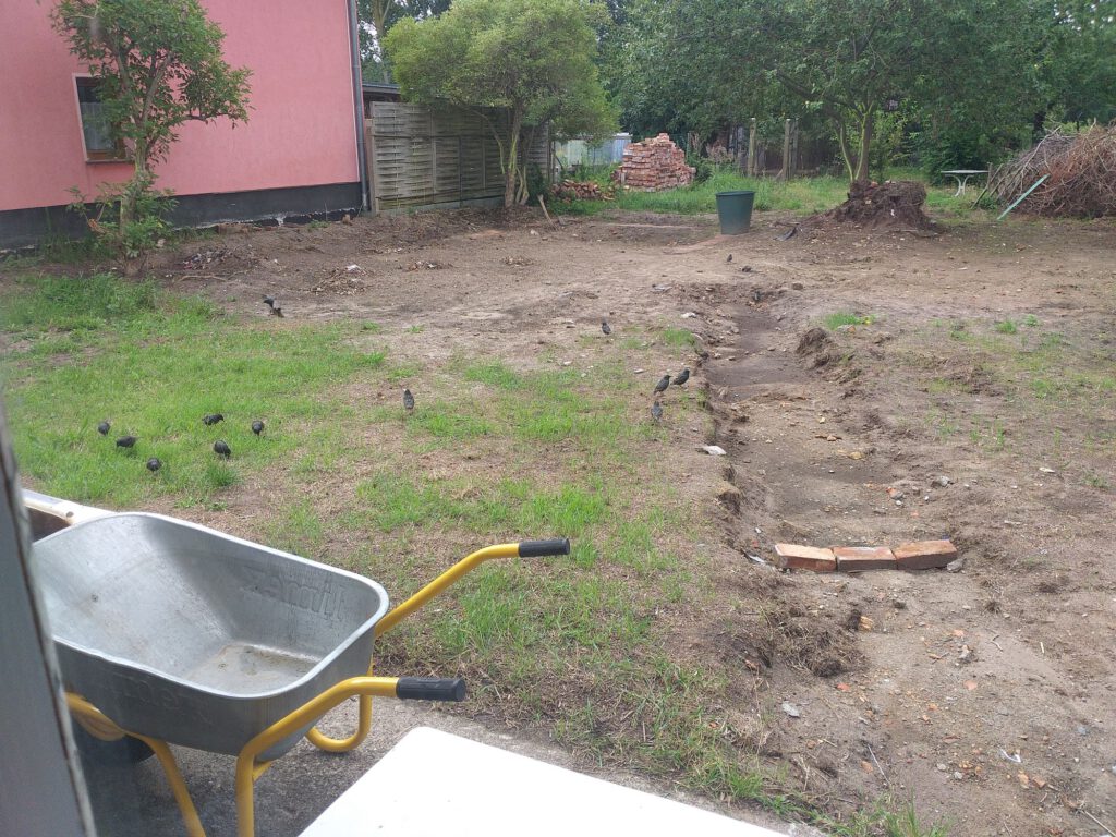 Fläche hinter dem Haus